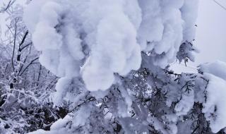 河南哪里的雪下得大